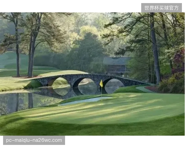 奥古斯塔高尔夫果岭架设相控阵雷达锚定击球初始起伏